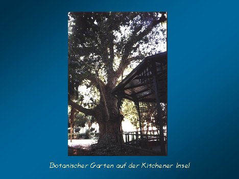 Image079.jpg, 32646 bytes, 25.03.03