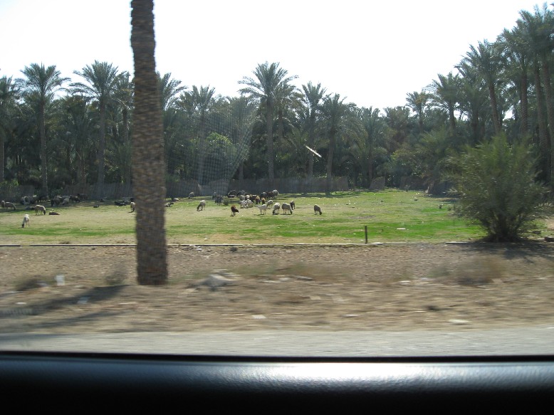 IMG_0787.JPG, 123804 bytes, 22/02/2008