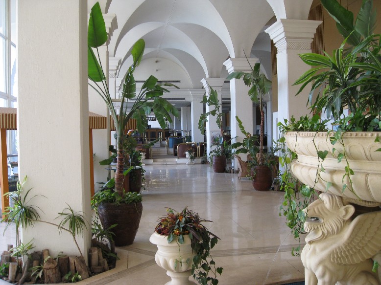 IMG_0918.JPG, 147180 bytes, 22/02/2008