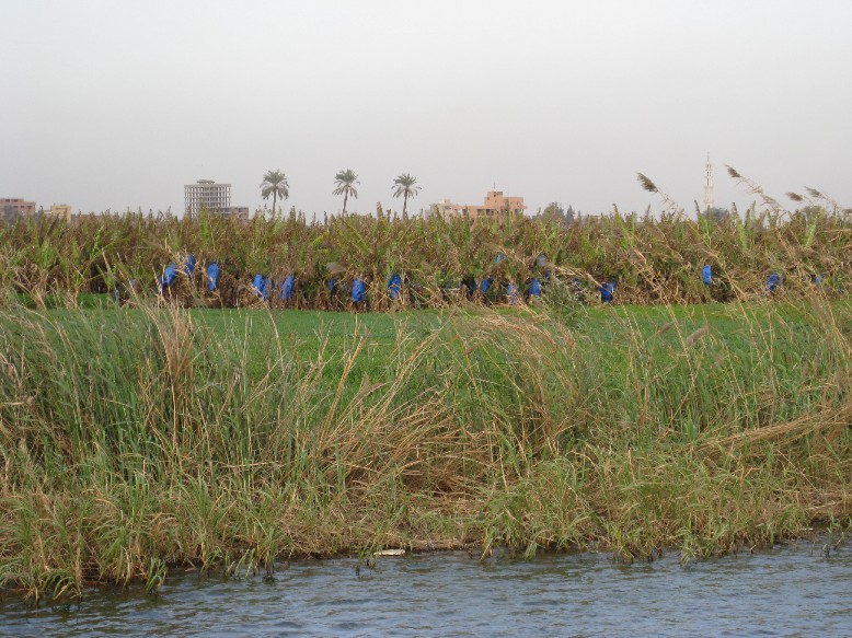 IMG_0986.JPG, 165725 bytes, 22/02/2008