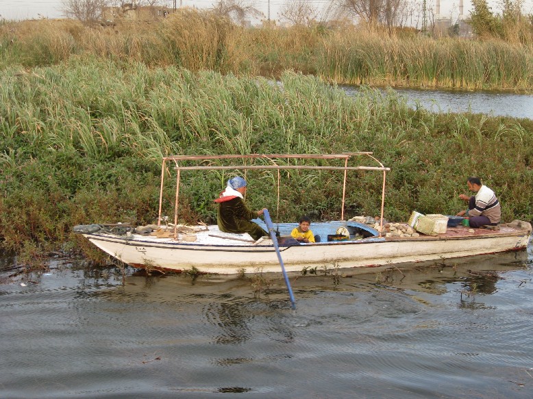 IMG_0991.JPG, 208284 bytes, 22/02/2008