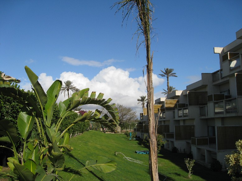 IMG_1068.JPG, 129789 bytes, 22/02/2008