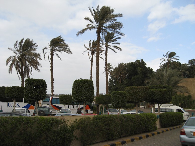 IMG_1182.JPG, 136527 bytes, 22/02/2008